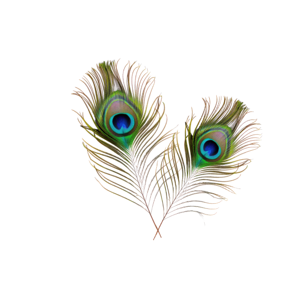 Hare Krishna